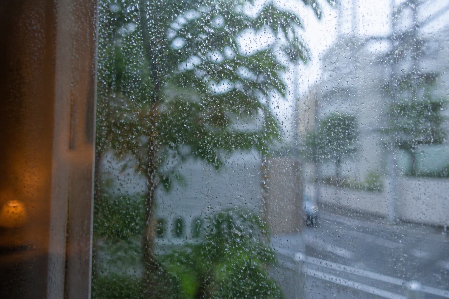 雨上がりの窓越しにぼける緑と静かな脇道