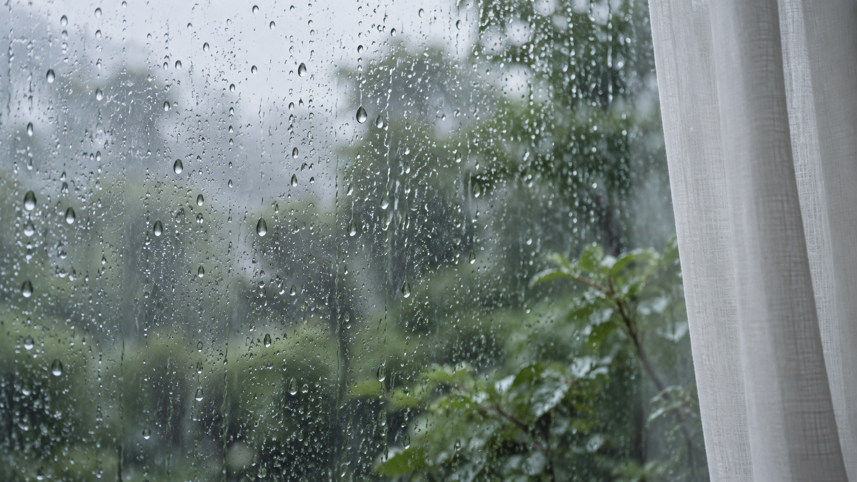 雨粒のついた窓とぼけた緑、白いカーテンの静かな風景